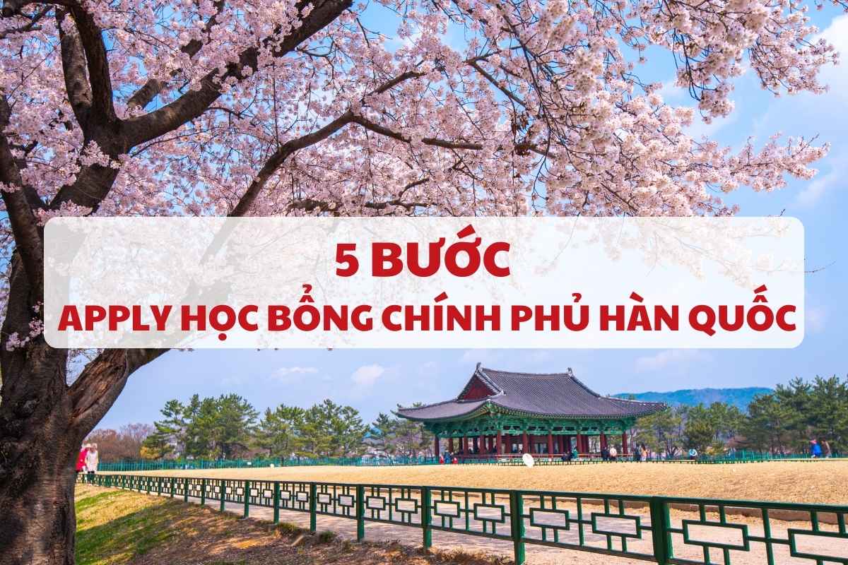 apply-hoc-bong-chinh-phu-han-quoc-1
