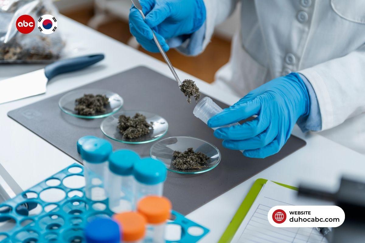 dieu-kien-xin-hoc-bong-du-hoc-han-quoc-5