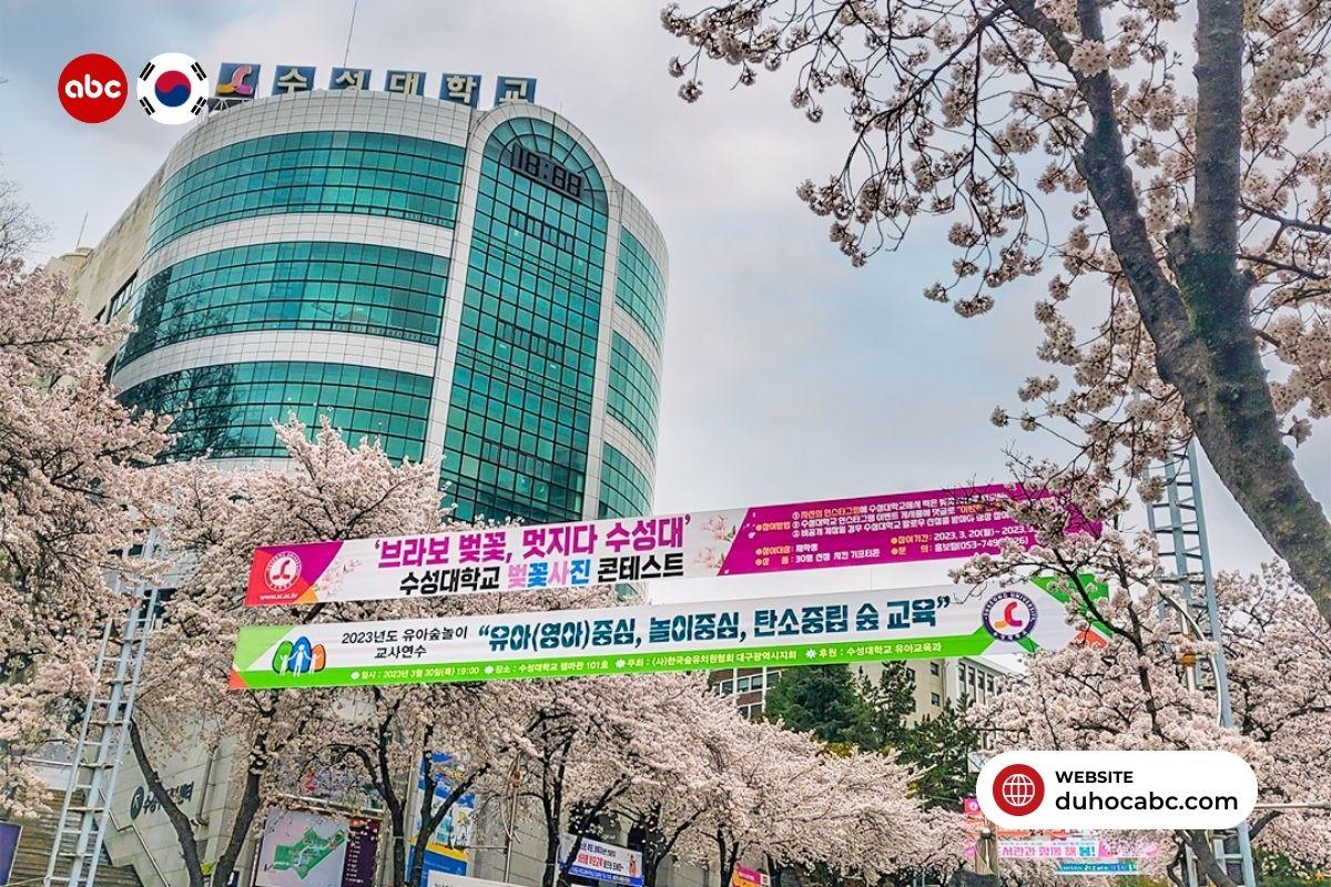 hoc-bong-du-hoc-nghe-han-quoc-3