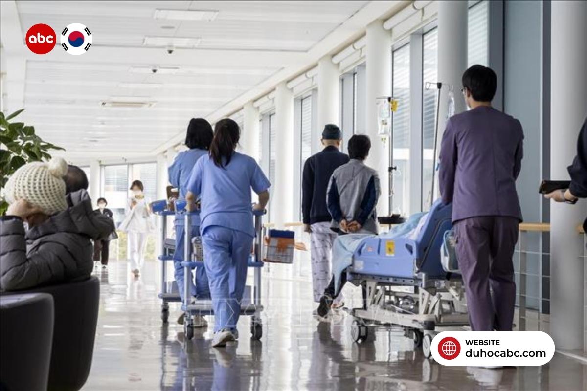 du-hoc-nghe-han-quoc-visa-d4-6-6