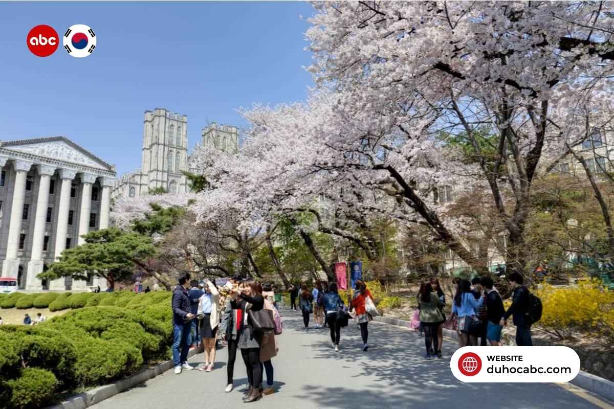 du-hoc-tieng-han-visa-d4-1-6