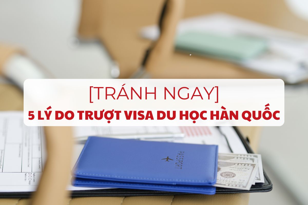 tranh-ngay-5-ly-do-truot-visa-du-hoc-han-quoc-1